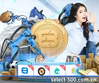 从此观赛更有深度